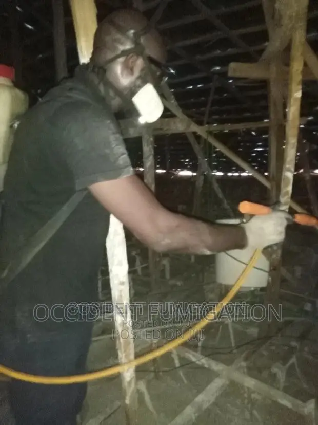 Termites Control