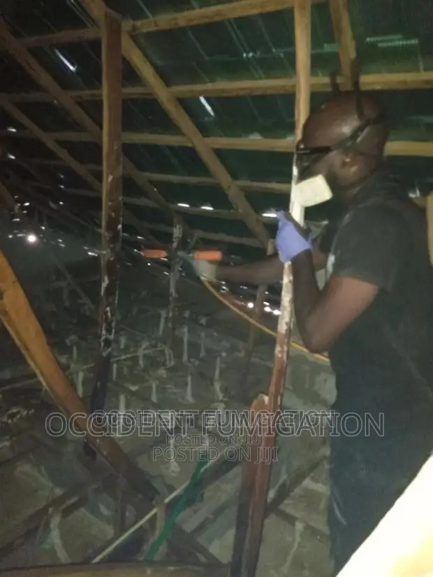 Termites Control