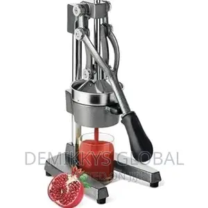 Manual Juice Extractor