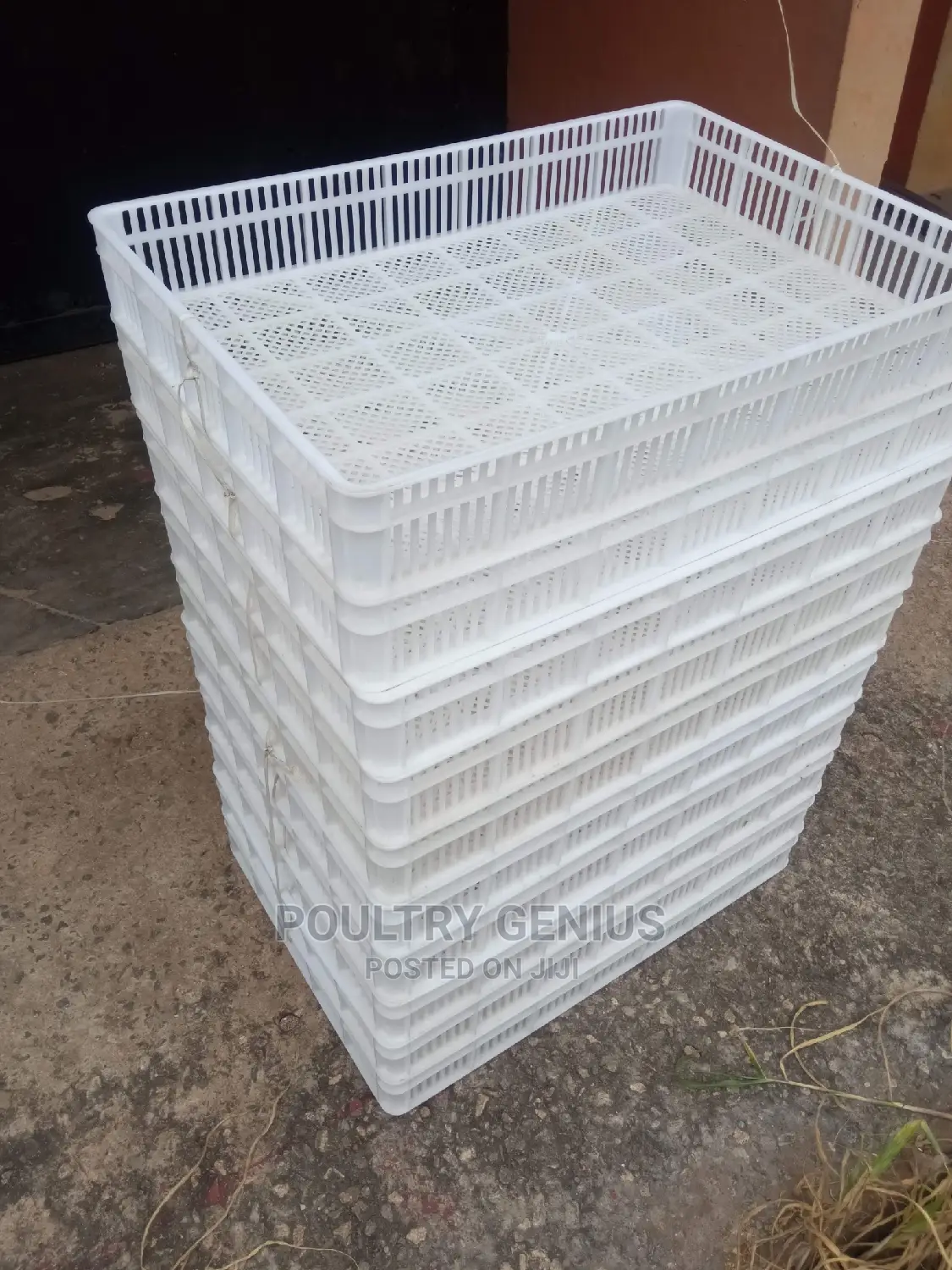 Setters and Hatching Baskets