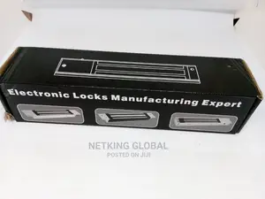 Electric Lock Manufacturing Expert
