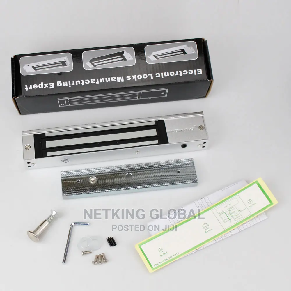 Electric Lock Manufacturing Expert