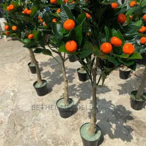 Artificial Flower/Plants Bulk Sales | Fake Orange Trees