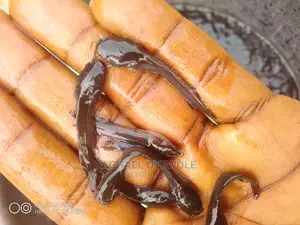 Post Fingerlings Clarias
