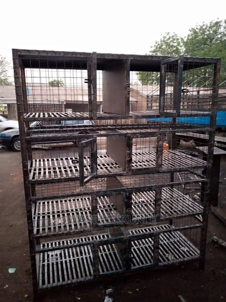 Live Grasscutter for Sale