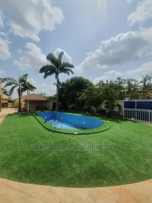 Artificial Grass