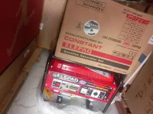 Powerful ELEPAQ Constant 3.5KVA 100 % Pure Copper Manual
