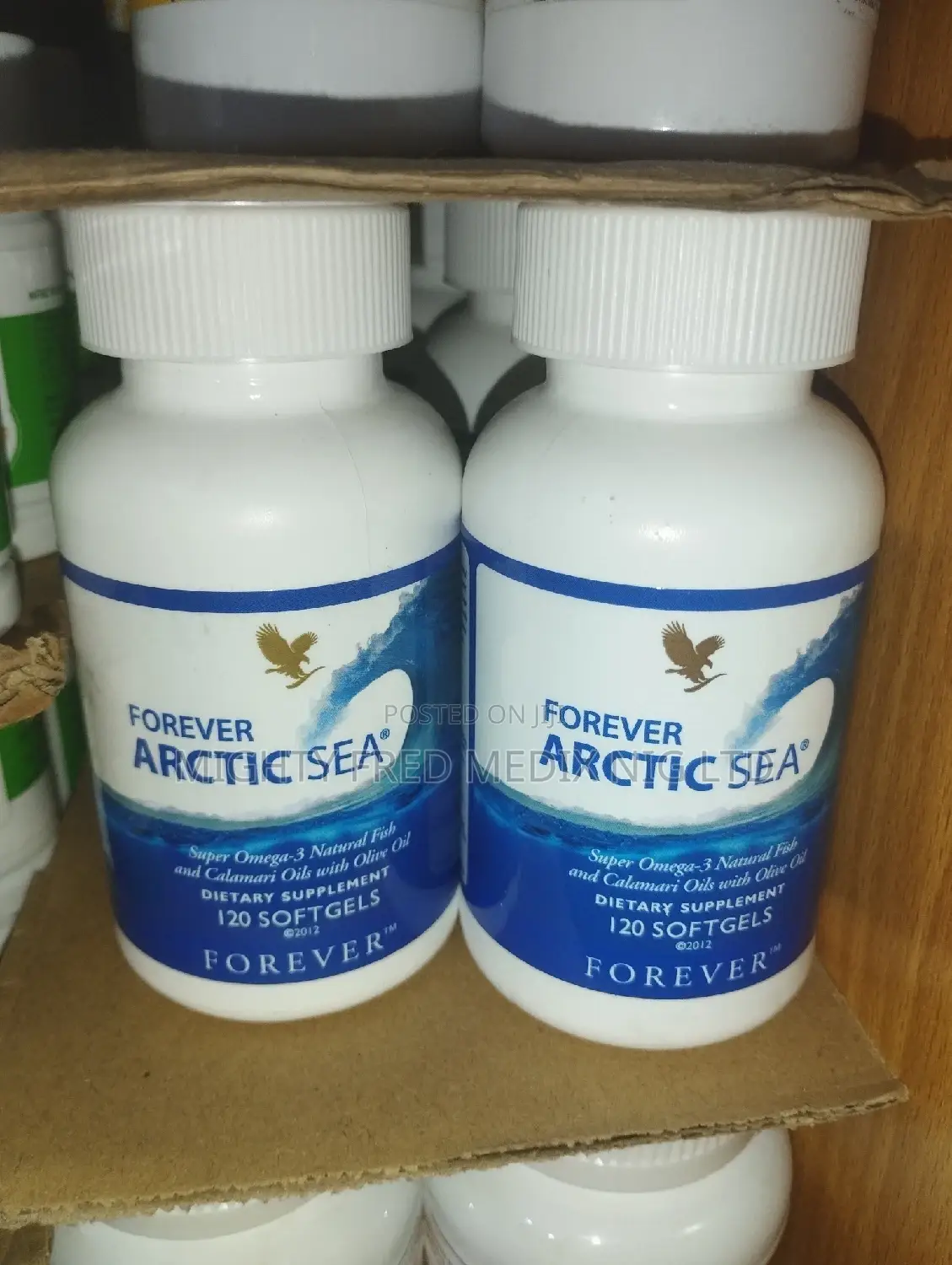 Forever Arctic Sea