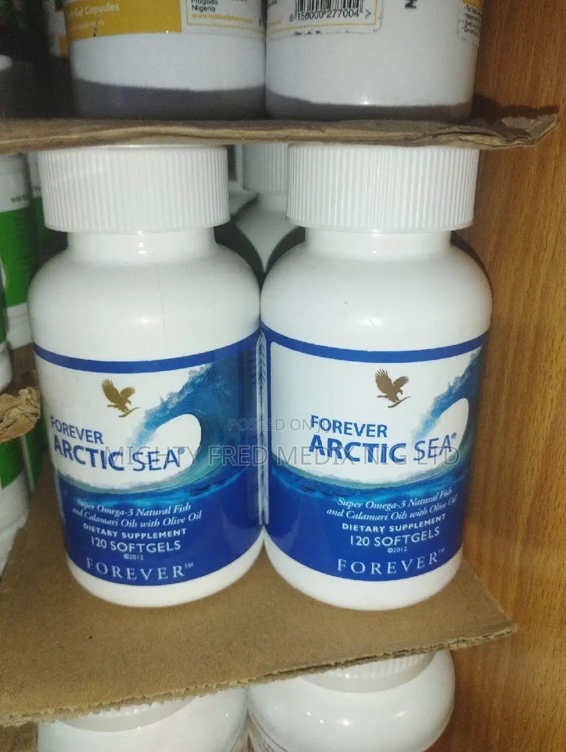 Forever Arctic Sea