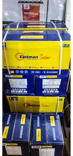 Es-210 - Eastman 210ah Deep Cycle Carbon Lead Battery