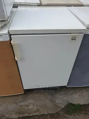 Bosch Fridge and Freezer