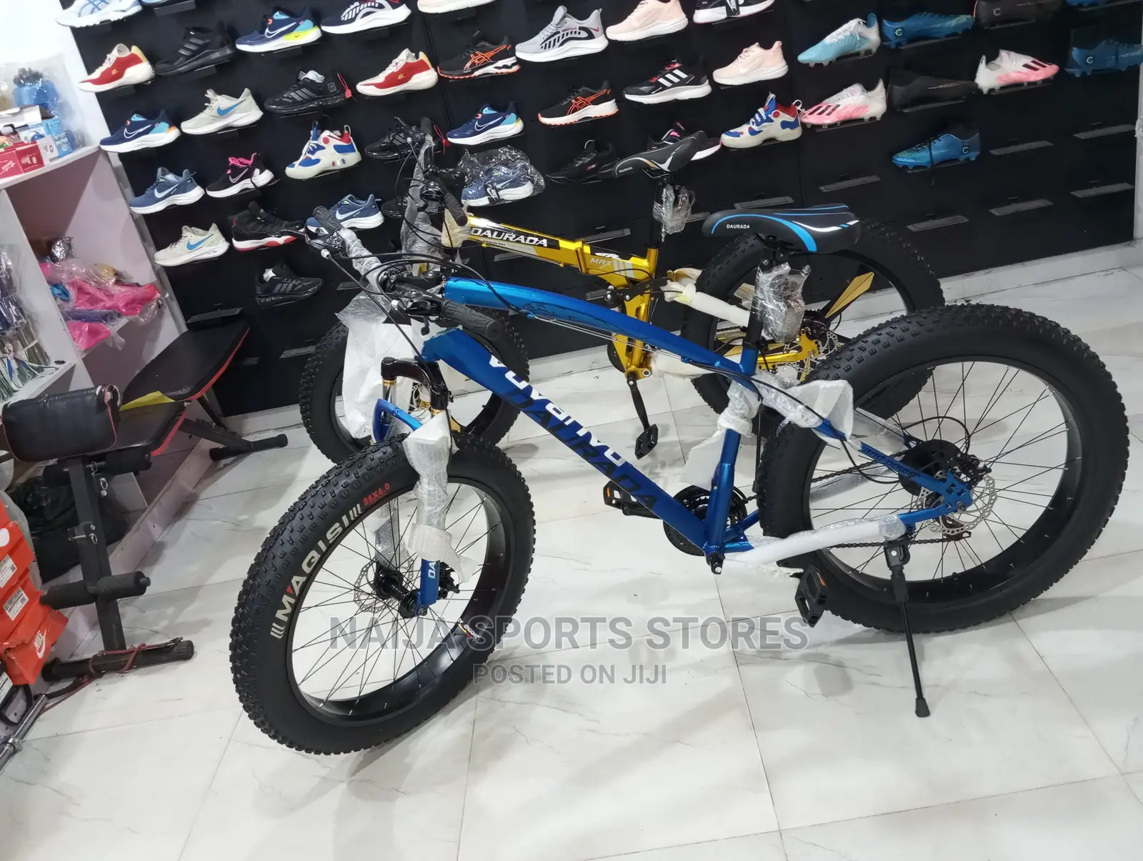 Exclusive Prolife Bike