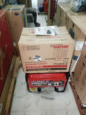 Effective Ec5800cx 3.5kva Elepaq Constant ( Copper Coil)