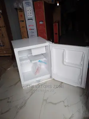 Skyrun BCD-55a Refrigerator