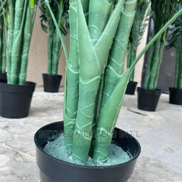 Quality Palm Plants Bulk Sales | Artificial Flowers/Plants