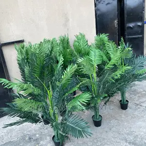Quality Palm Plants Bulk Sales | Artificial Flowers/Plants