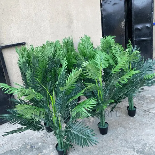 Quality Palm Plants Bulk Sales Artificial Flowers/Plants in Ikeja