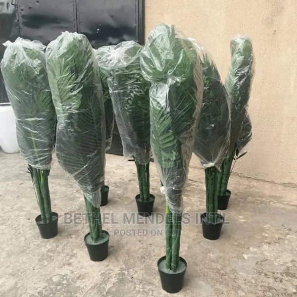 Quality Palm Plants Bulk Sales | Artificial Flowers/Plants