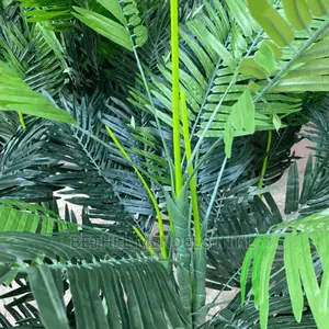 Quality Palm Plants Bulk Sales | Artificial Flowers/Plants