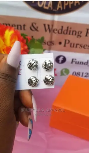 Sliver Pin Earrings
