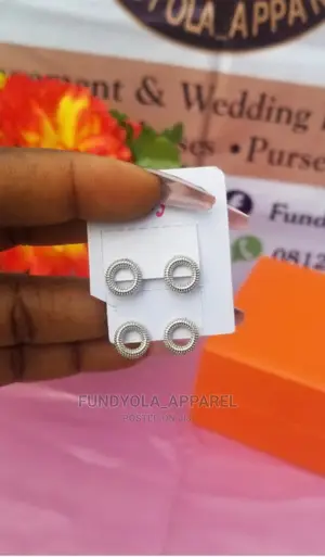 Sliver Round Pin Earrings