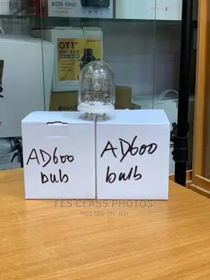 Godox Ad600 Bulb.