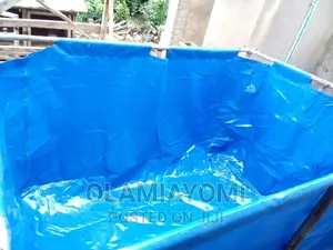 Fish Pond (Pay on Delivery)