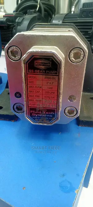 Stainless Steel Rotodel Gear Pump