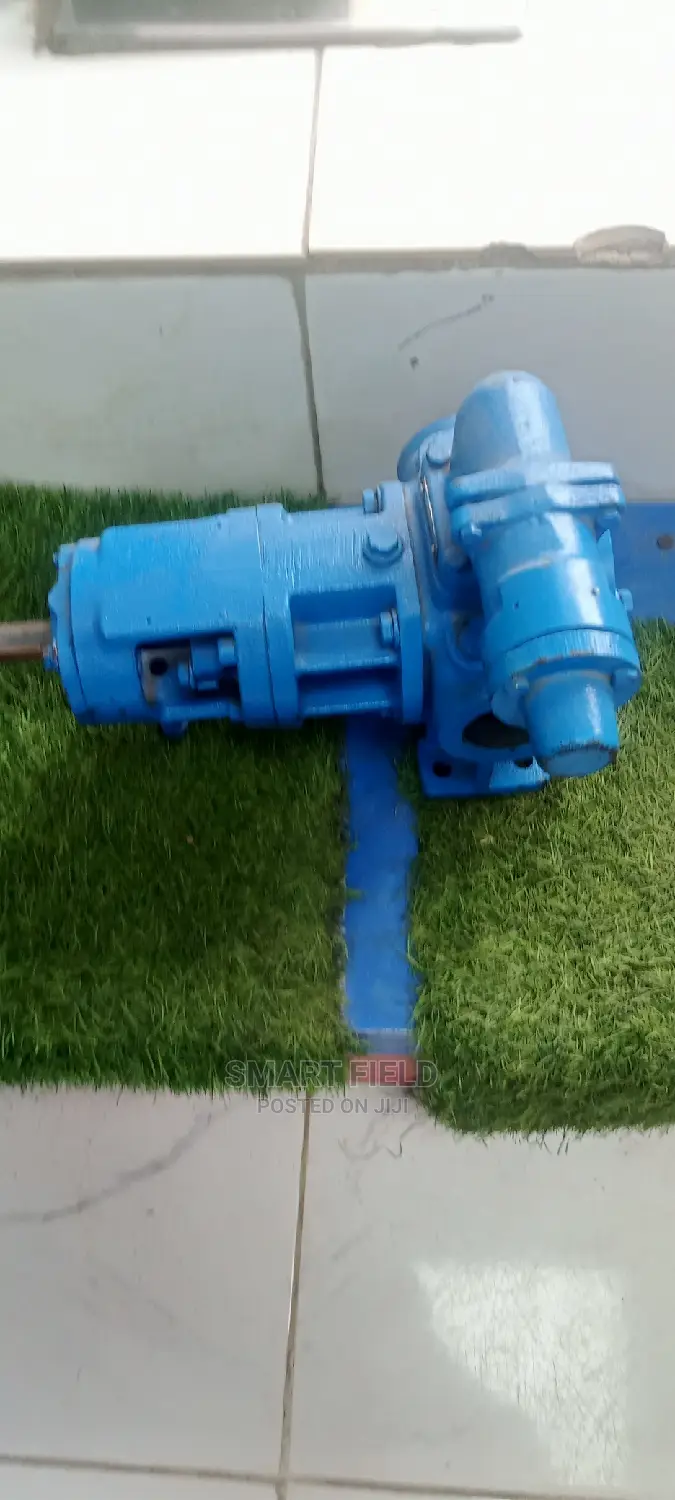 Johnson Gear Transfer Pump