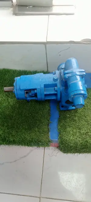 Johnson Gear Transfer Pump