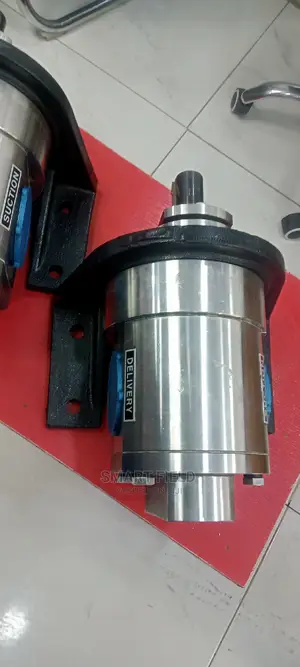 Shivay Stainless Steel Gear Pump 21/2"