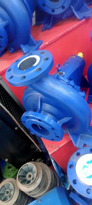 Sil End-Suction Centrifugal Pump Head Model 80-250