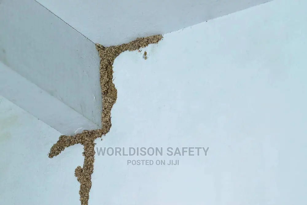 Termite Treatment and Control