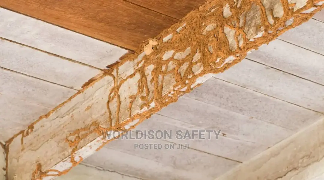 Termite Treatment and Control