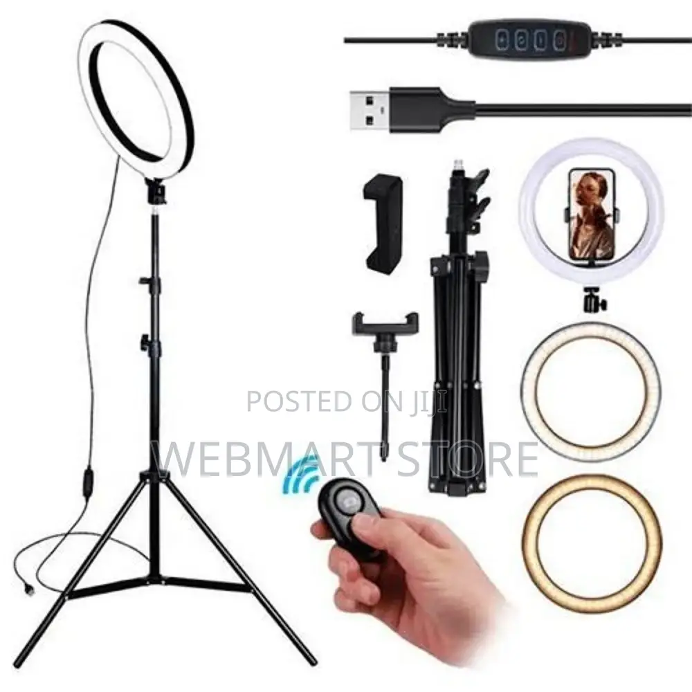 Tik Tok Lights 14" Inches