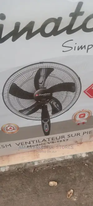 Binatone Standing Fan