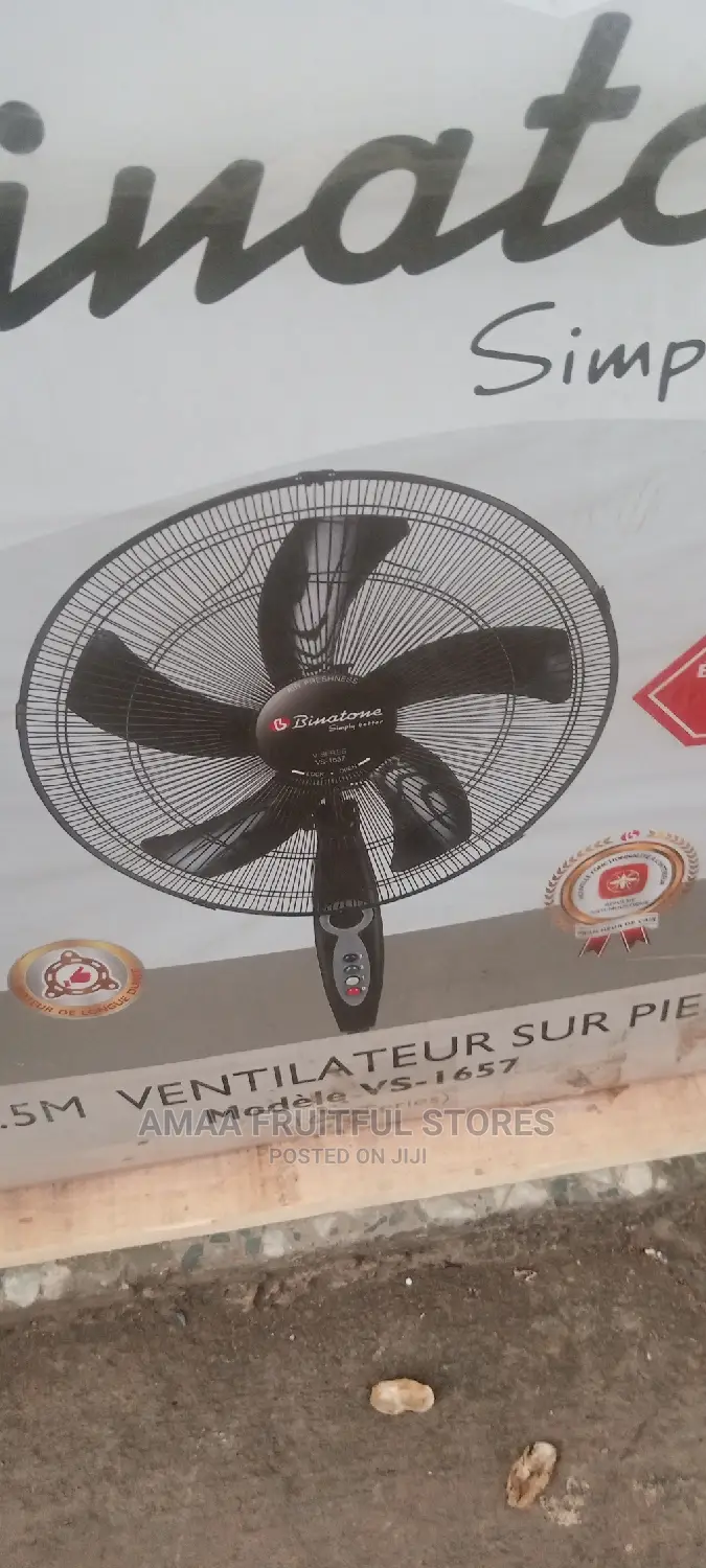 Binatone Standing Fan