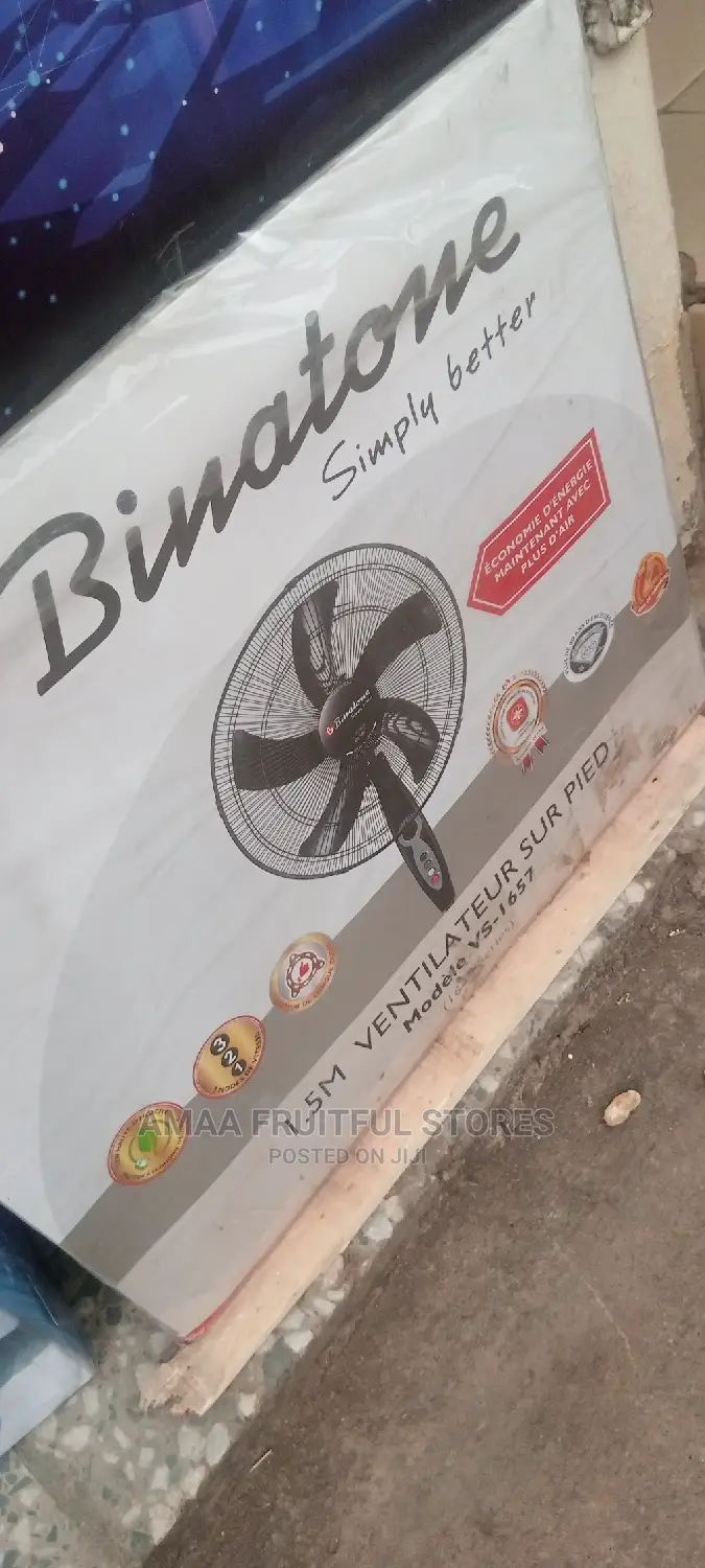 Binatone Standing Fan