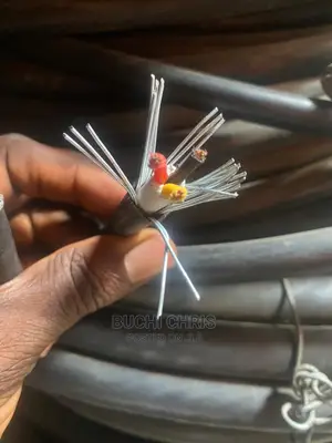 2.5mmx3 Armored Cable
