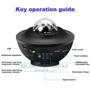Bluetooth Star Light With Remote Control