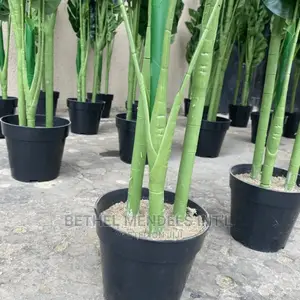 Artificial Flowers/Plants | Faux Monstera Plants Sales
