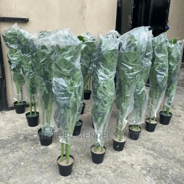 Artificial Flowers/Plants | Faux Monstera Plants Sales