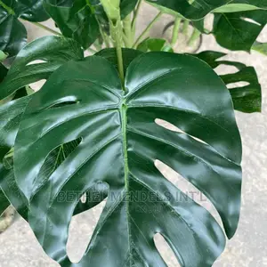 Artificial Flowers/Plants | Faux Monstera Plants Sales