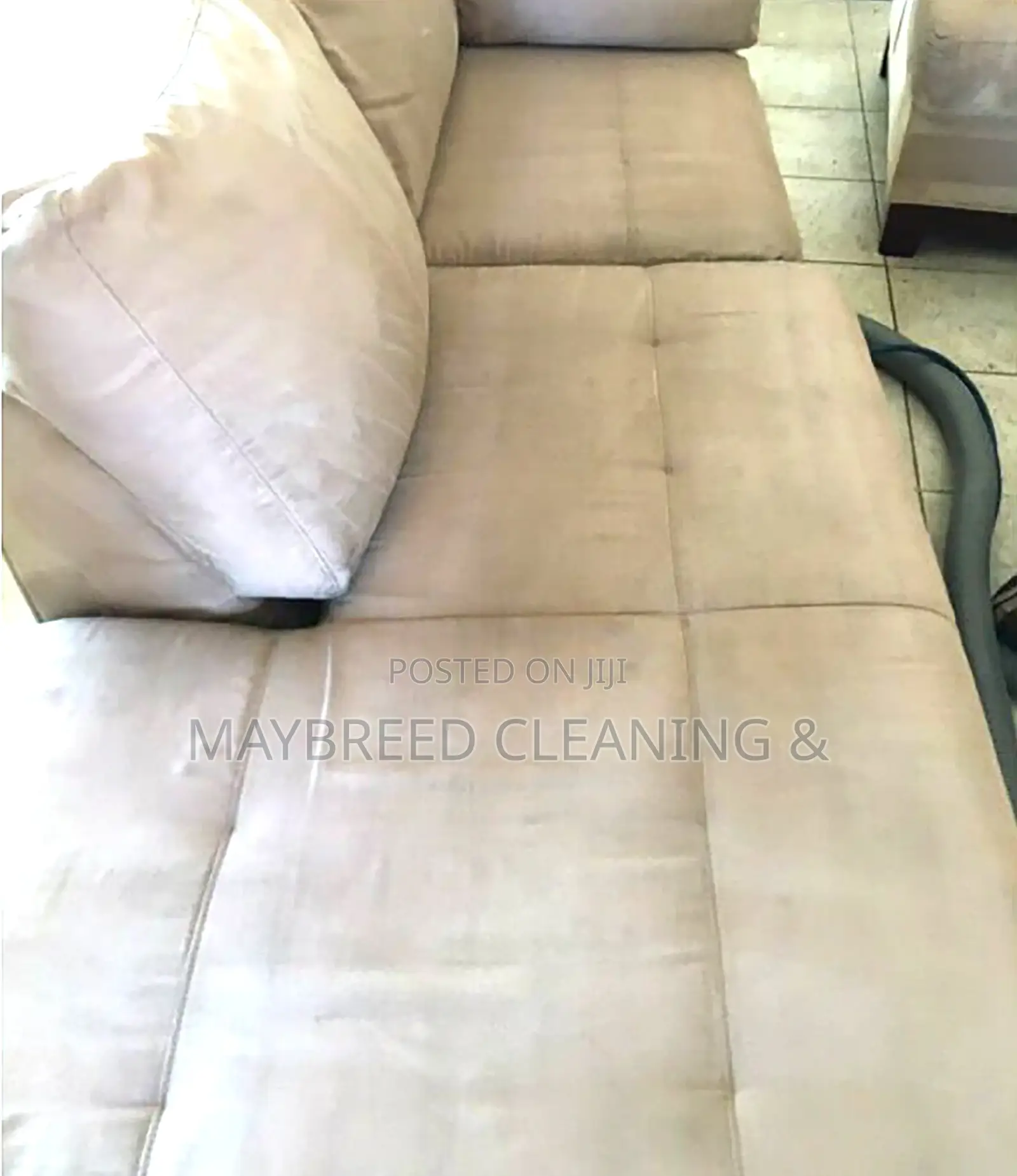 Sofa Cleaning