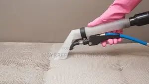 Couch and Deep House Cleaning