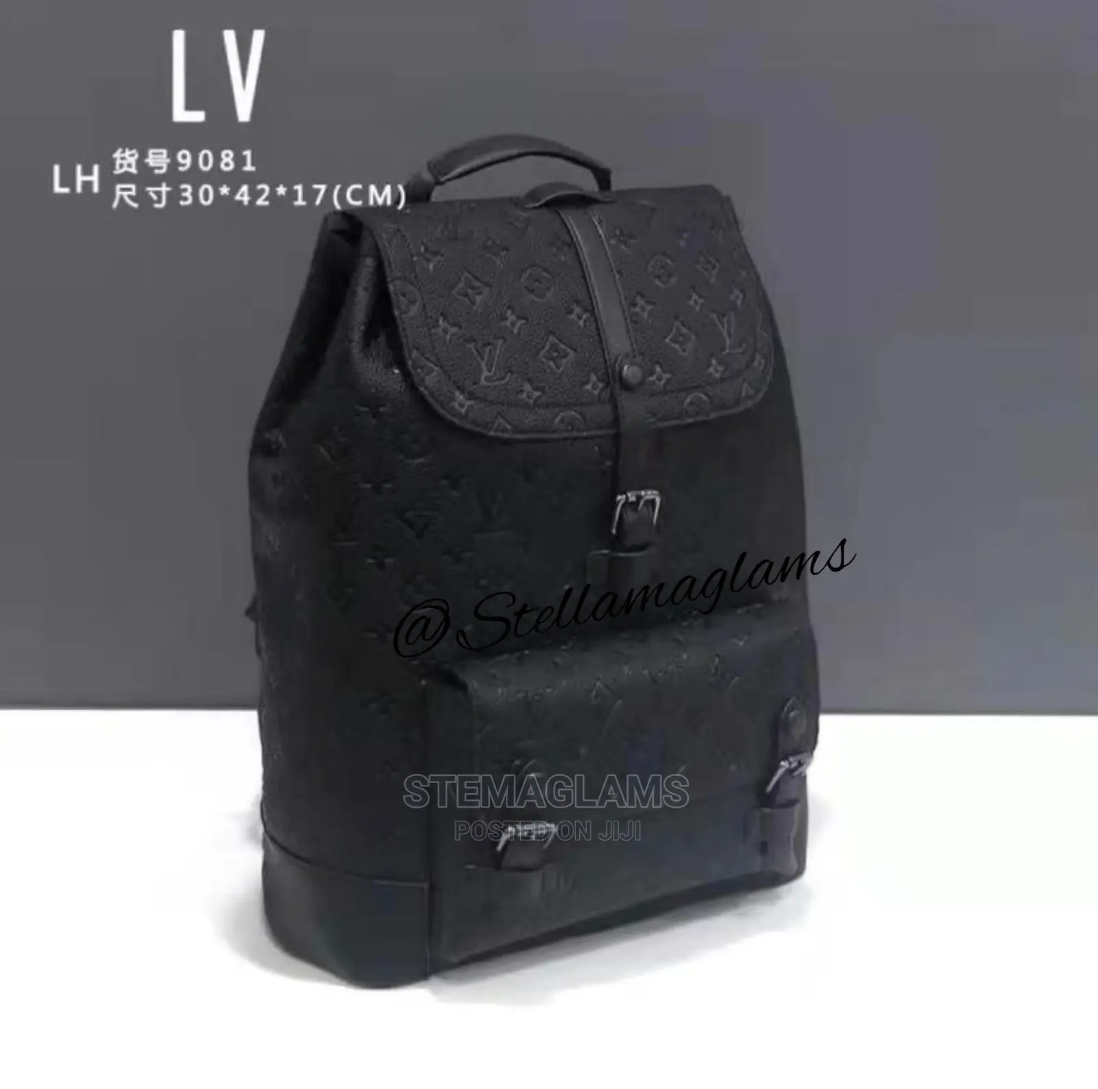 Louis Vuitton Backpack