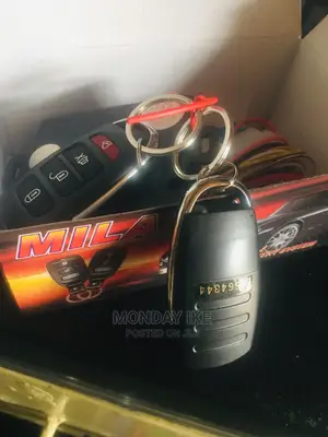 Original Remote Control System Open and Lock Is Available