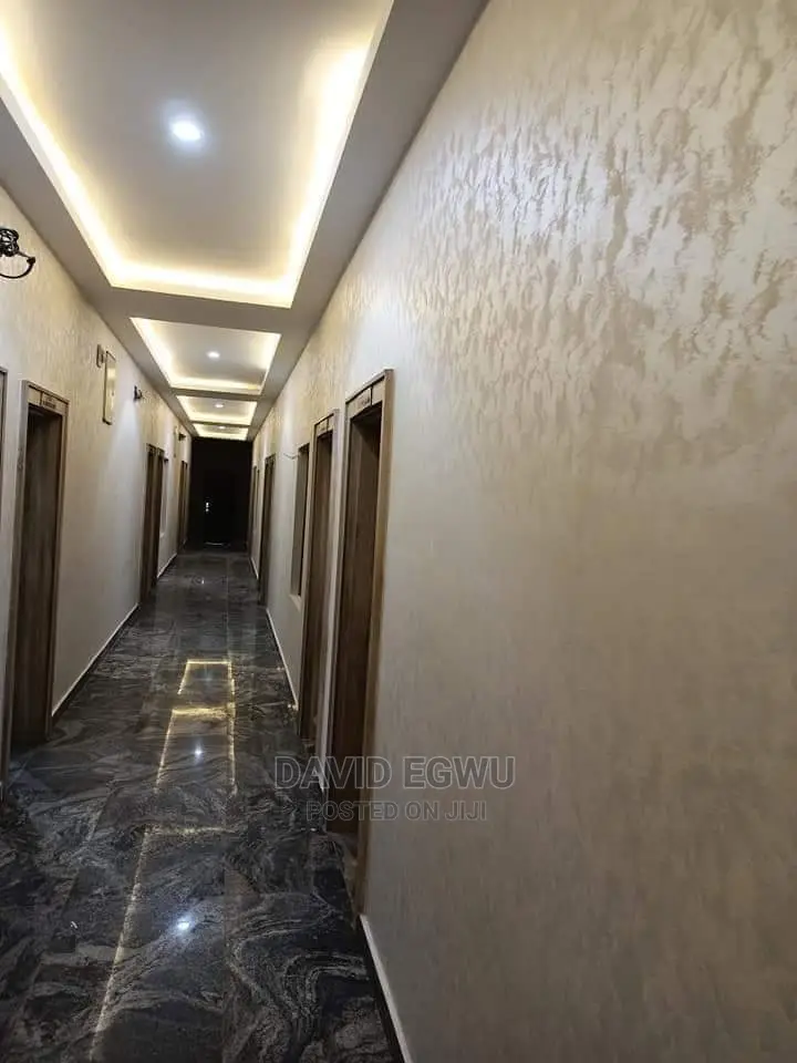 Decorative Interior Wall Painting
