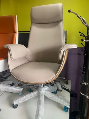 Italian Unique Executive MD Office Chairs
