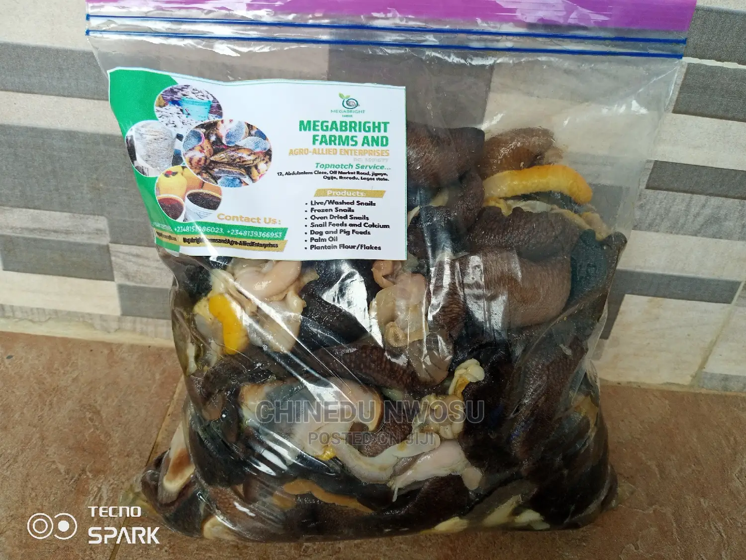 Washed/Cleaned/Processed Snail Meat